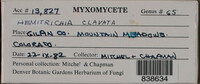 Image Associated With the Occurence